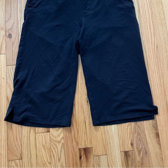 Talbot Easy Pull On Wide Leg 19” Inseam. Size Lp. - Picture 3 of 9